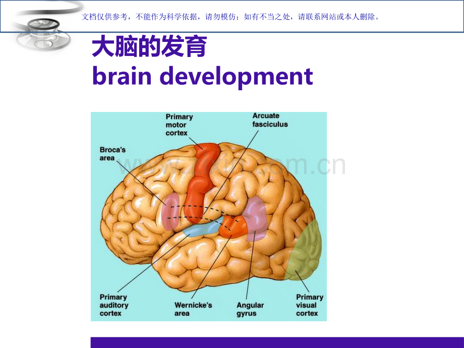 儿科儿童神经心理发育课件.ppt_第1页