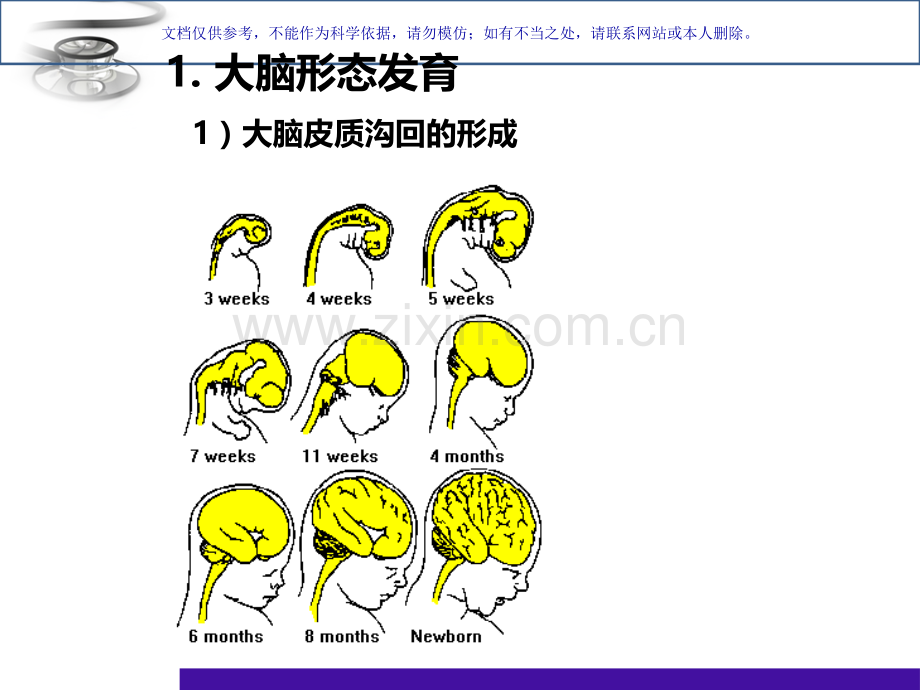 儿科儿童神经心理发育课件.ppt_第2页