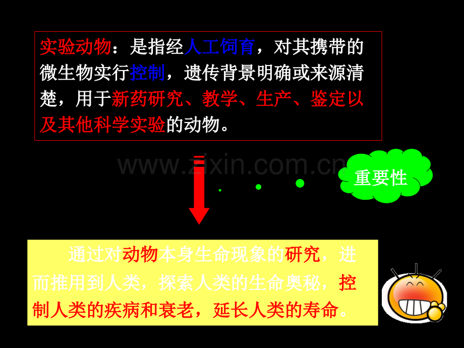 新药研究中的动物实验方法.ppt_第2页