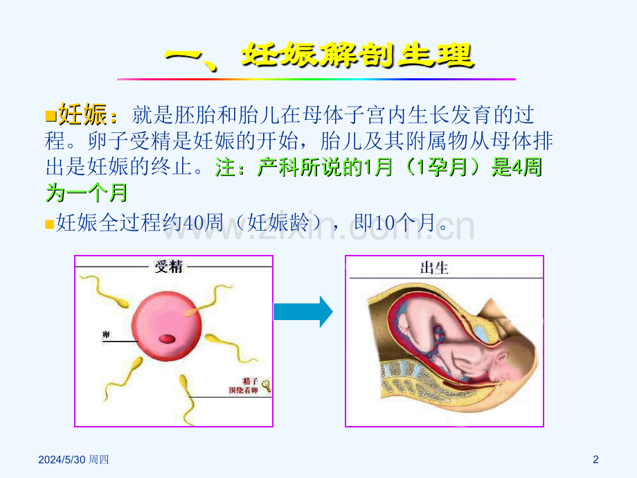 产科超声诊断.ppt_第2页
