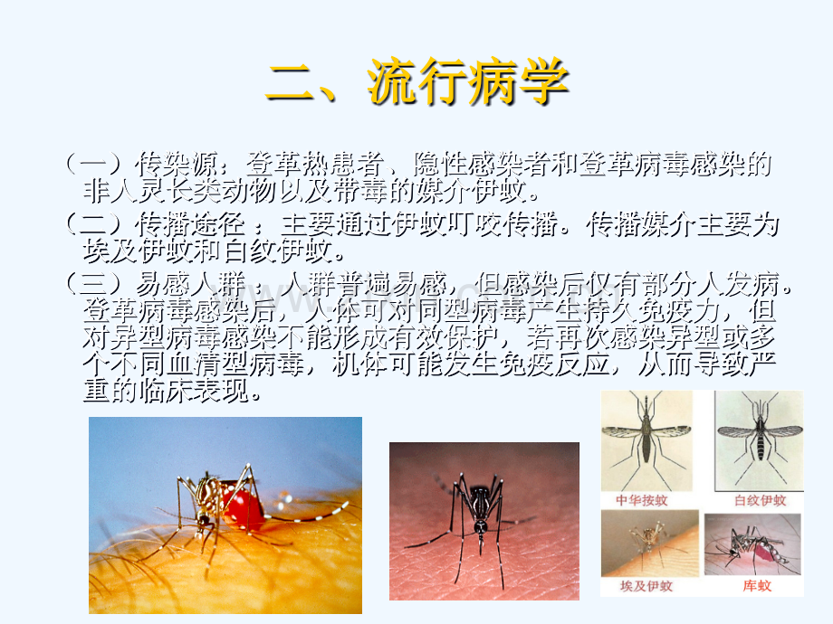 登革热诊断与治疗.pptx_第2页