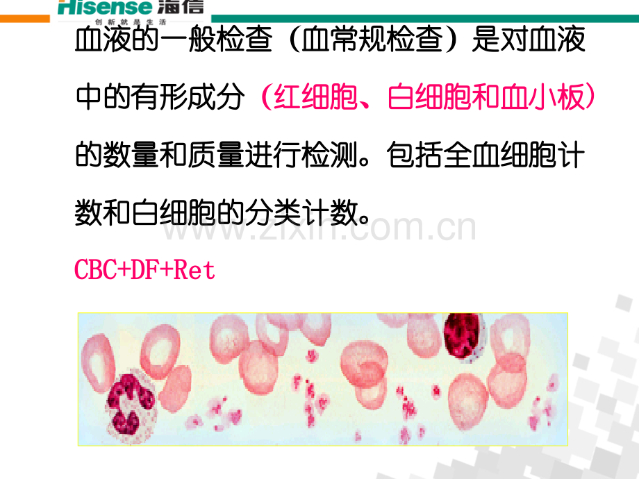 PPT医学课件血常规检查及其意义医生解读讲义.ppt_第1页