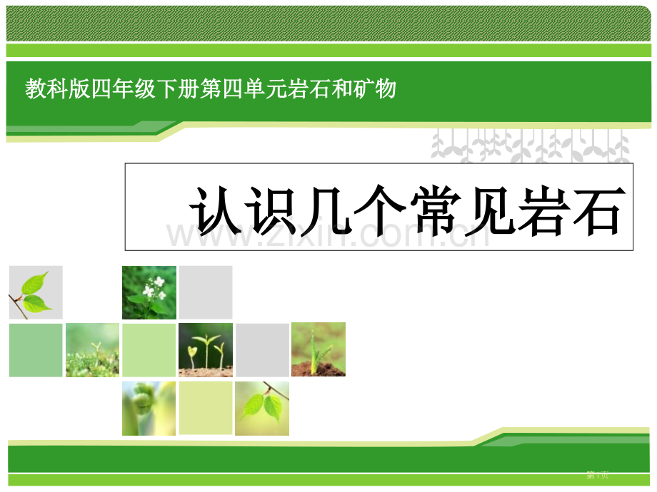 认识几种常见的岩石岩石和矿物.pptx_第1页