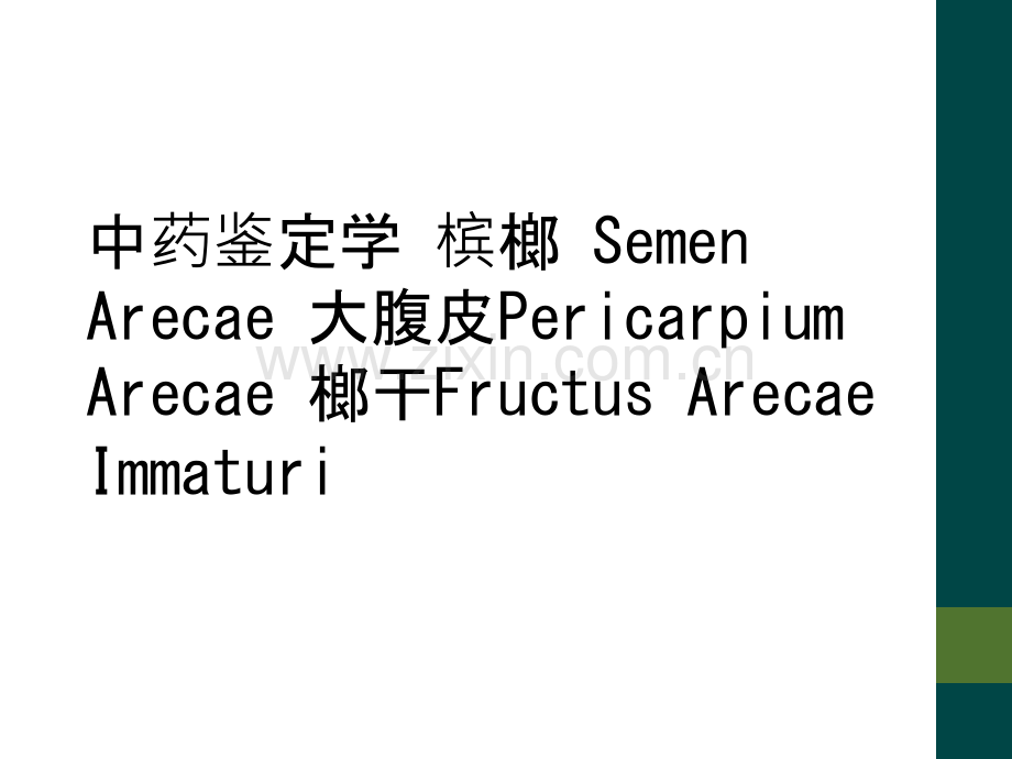 中药鉴定学-槟榔-Semen--Arecae-大腹皮Pericarpium-Arecae-榔干Fru.ppt_第1页