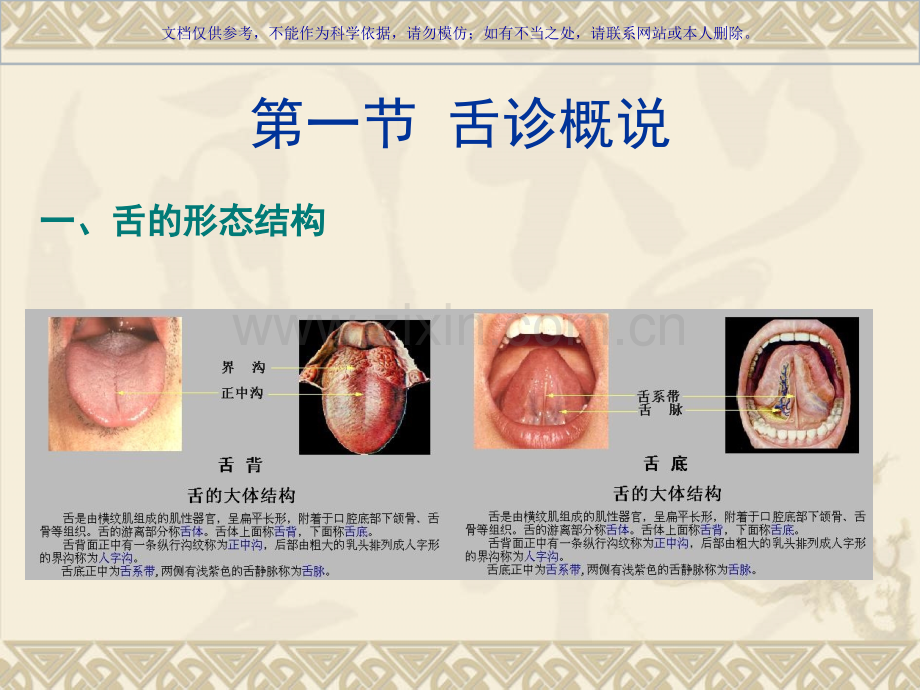 中医诊疗学舌诊课件.ppt_第1页