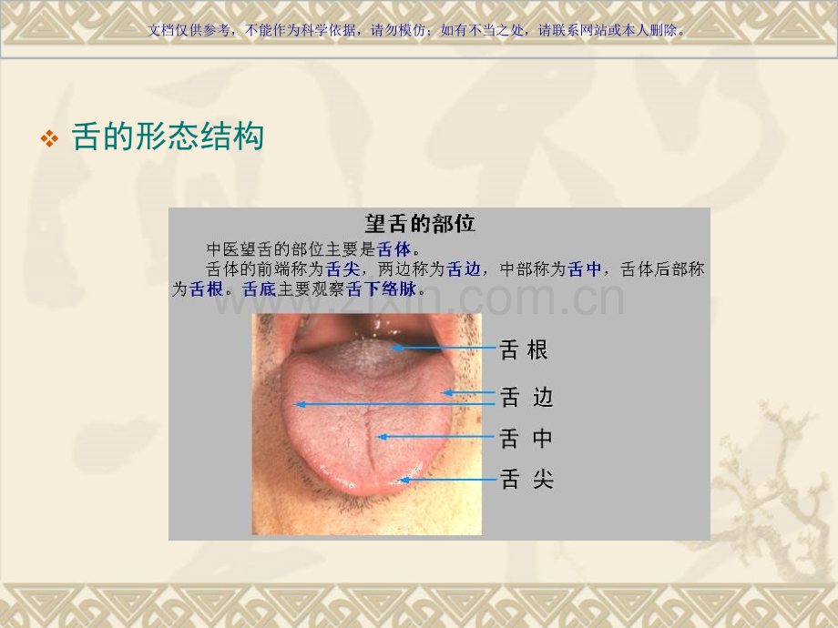 中医诊疗学舌诊课件.ppt_第2页