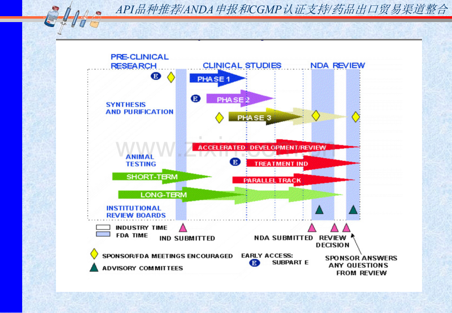 FDA药品批准程序简介-医学课件.ppt_第2页