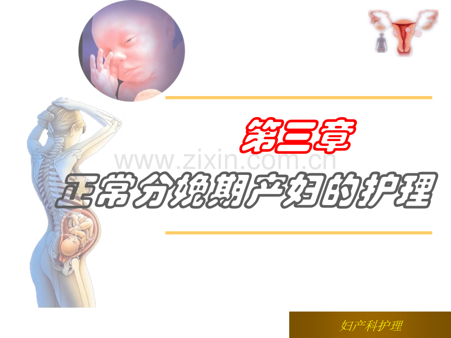 正常分娩期产妇护理.ppt_第2页