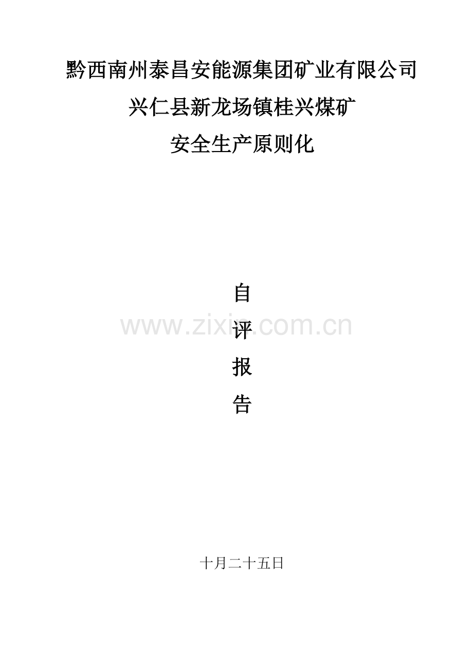 桂兴煤矿煤矿安全生产重点标准化自评经典报告.docx_第1页