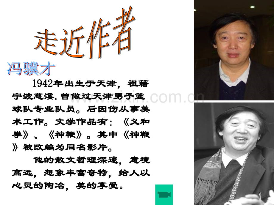 21《珍珠鸟》主题讲座2专题培训课件.ppt_第2页