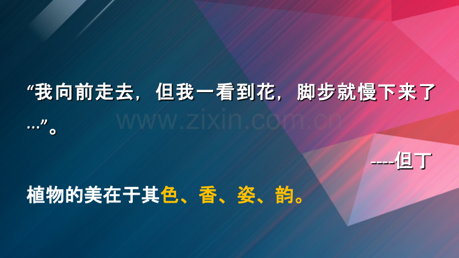 简析色彩在园林植物景观中的应用PPT.ppt_第2页