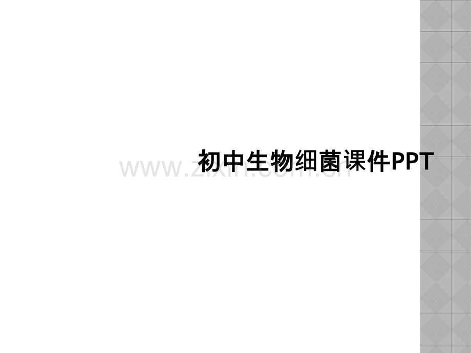 初中生物细菌课件PPT.ppt_第1页