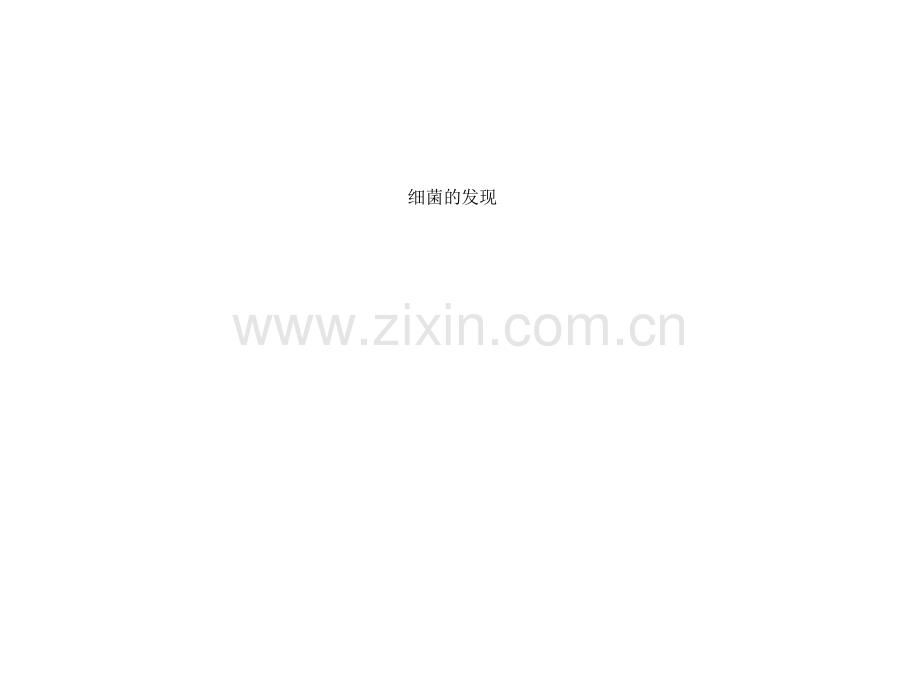 初中生物细菌课件PPT.ppt_第2页
