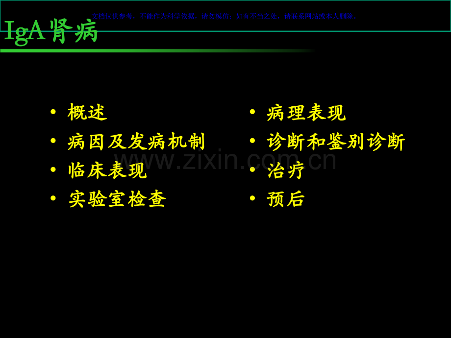 IgA肾病专业知识讲座课件.ppt_第1页