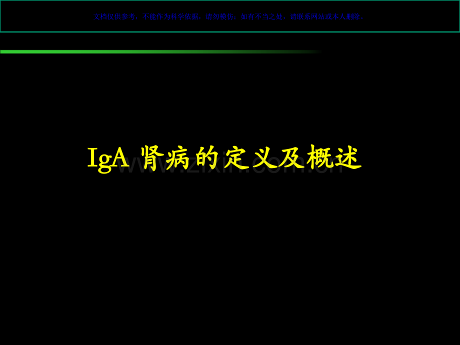 IgA肾病专业知识讲座课件.ppt_第2页