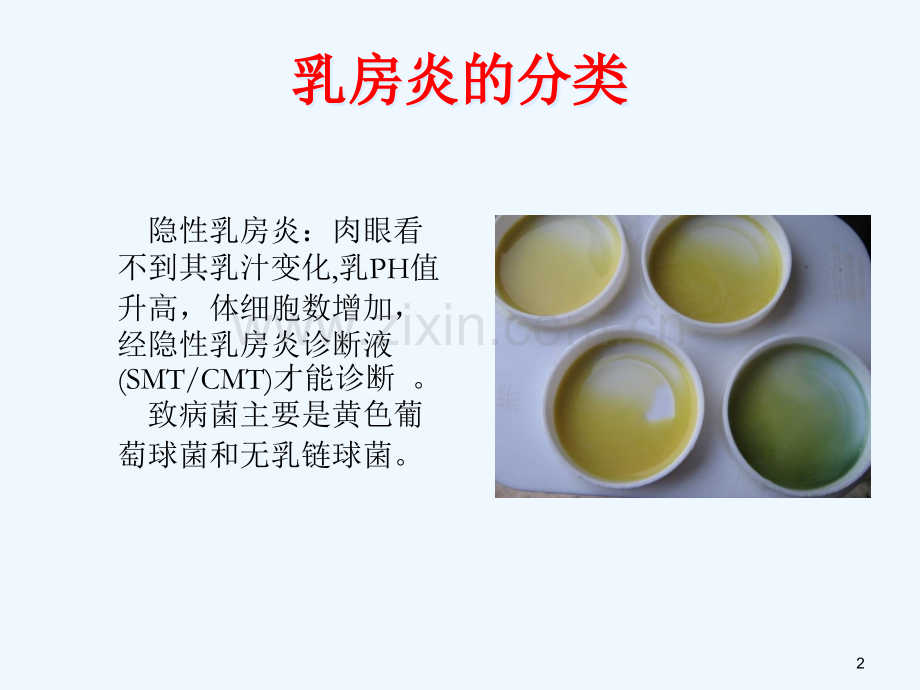 乳房炎减少的研究.pptx_第2页