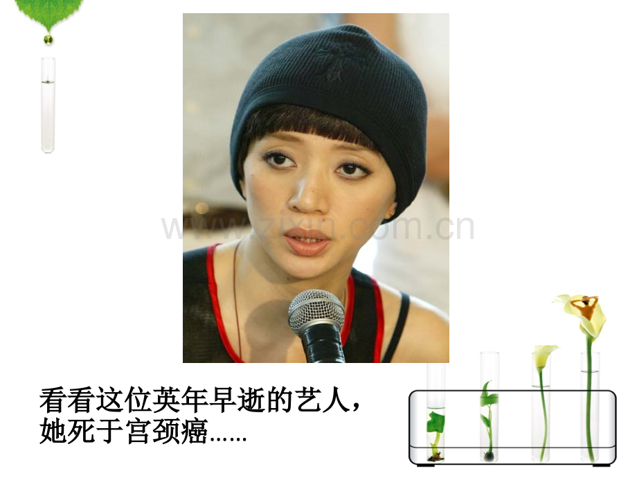HPV感染与宫颈癌-医学课件.ppt_第1页