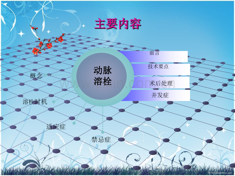 神经内科介入治疗.ppt_第2页