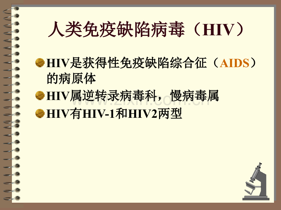 微生物学检验逆转录病毒.ppt_第2页