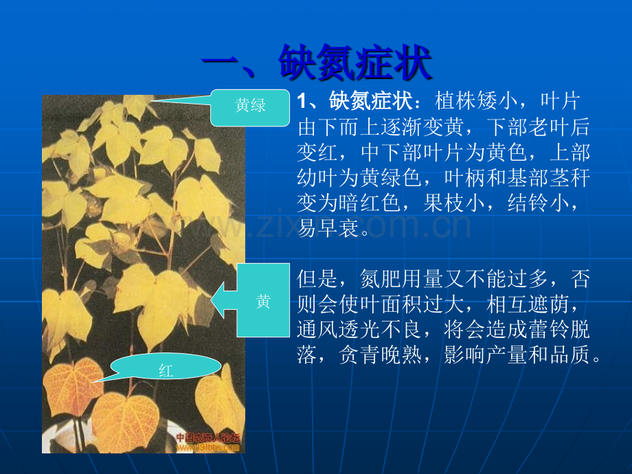 棉花缺素症及预防措施.ppt_第2页