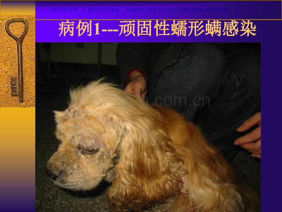 临床皮肤病病例分析课件.ppt_第1页