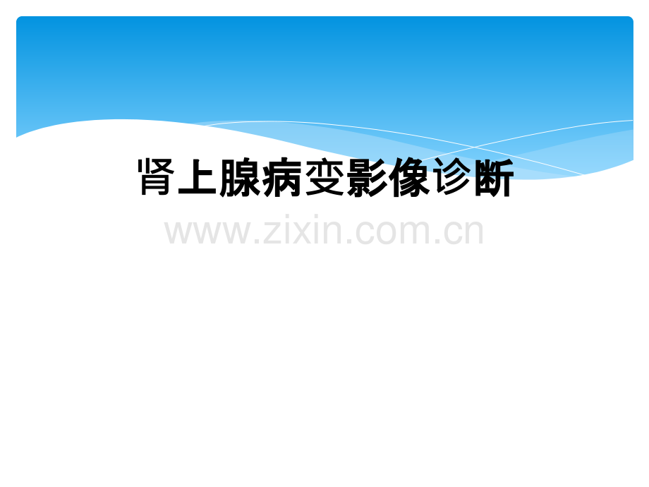 肾上腺病变影像诊断.ppt_第1页