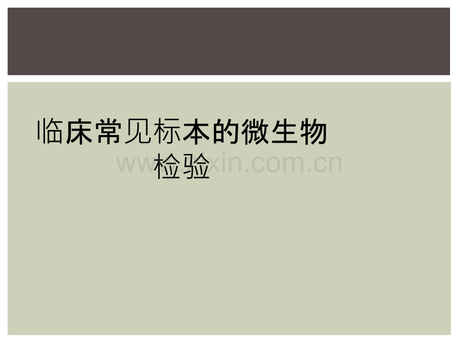 临床常见标本的微生物检验.ppt_第1页
