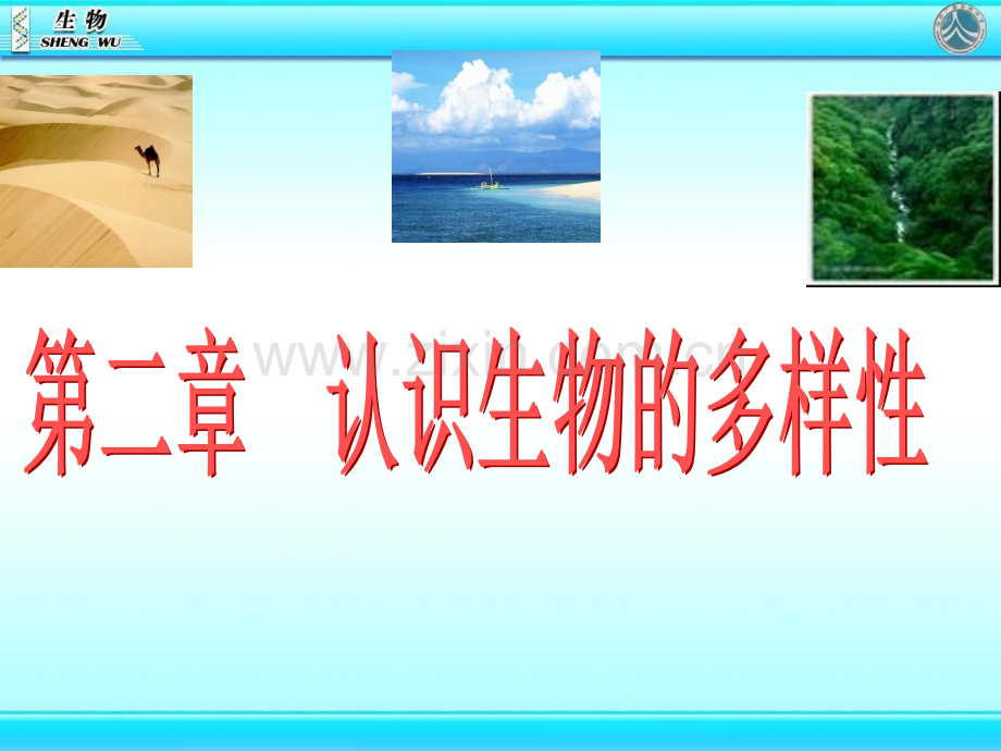 新人教版生物八年级上册认识和保护生物的多样性图文.pptx_第2页