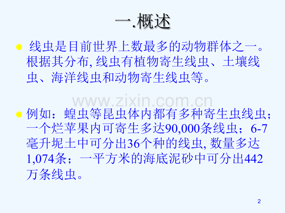 线虫及线虫病绪论.ppt_第2页