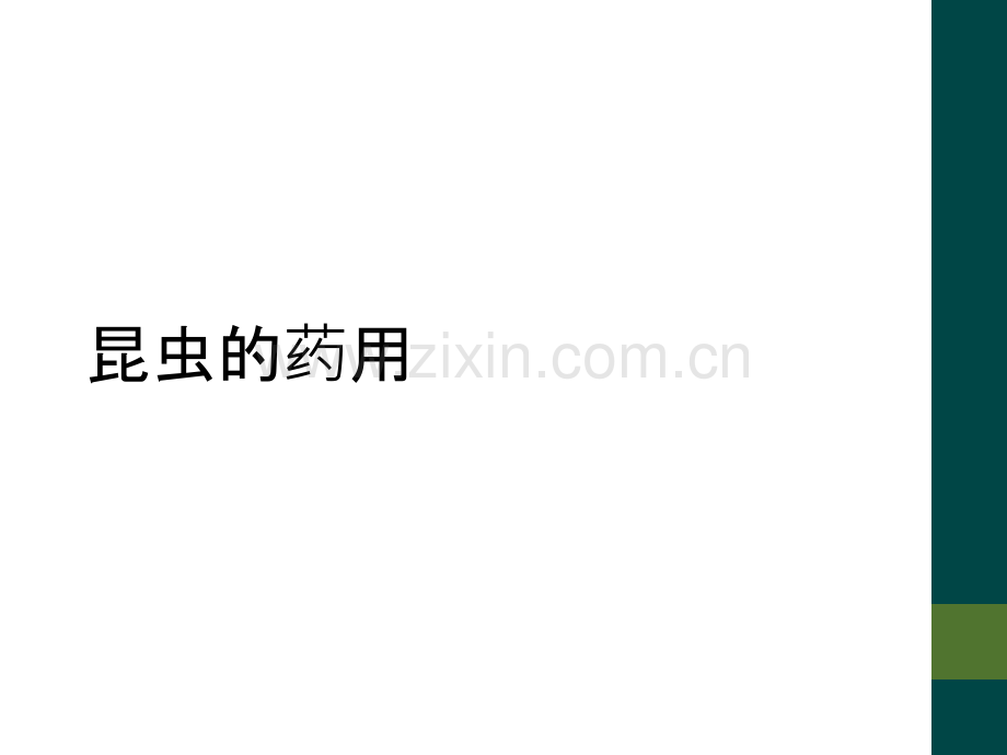 昆虫的药用.ppt_第1页