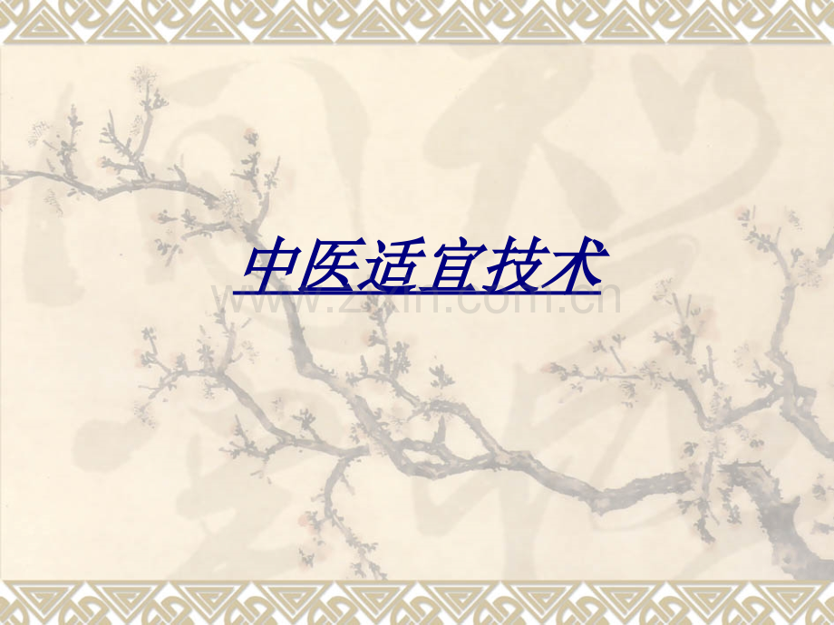 中医适宜技术讲义.ppt_第1页