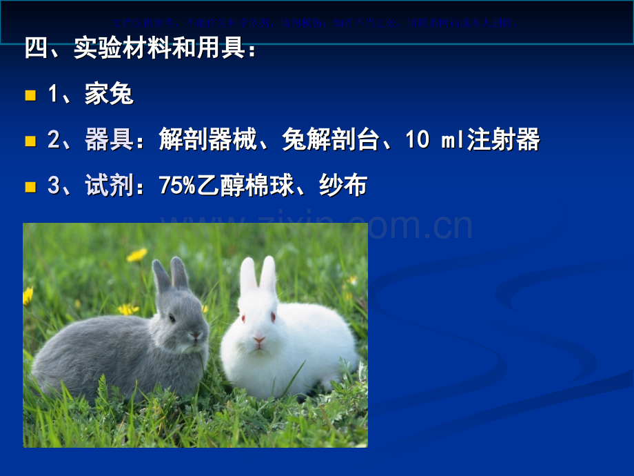 兔子的解剖专业医学知识宣讲课件.ppt_第2页