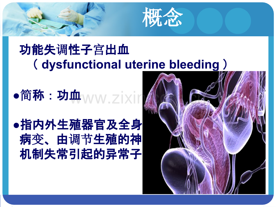妇科功血小讲课.ppt_第2页