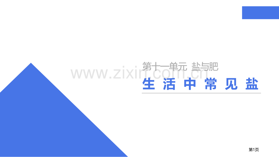 生活中常见的盐省公开课一等奖新名师优质课比赛一等奖课件.pptx_第1页