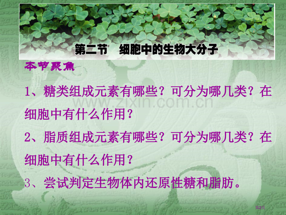 生物细胞中的生物大分子苏教版必修省公共课一等奖全国赛课获奖课件.pptx_第2页