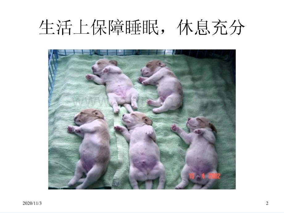 失眠的治疗.ppt_第2页