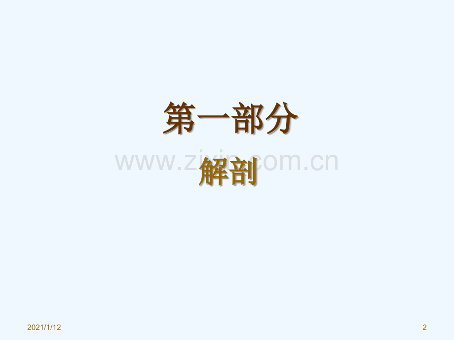 腹膜肠系膜解剖及常见肿瘤.ppt_第2页