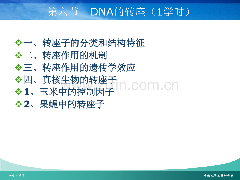 26DNA的转座专题培训课件.ppt_第1页