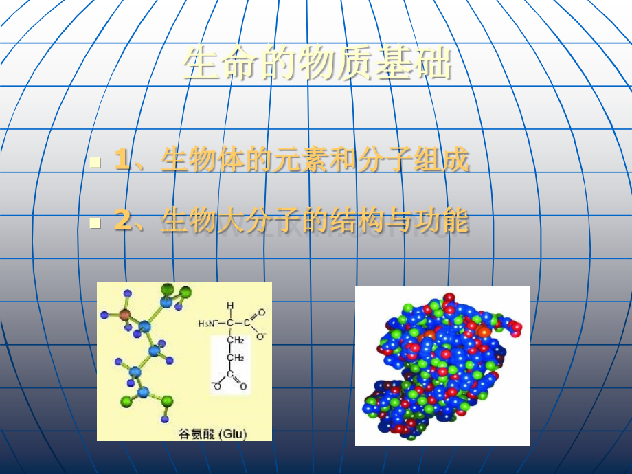 《生物化学基础》PPT课件.ppt_第2页