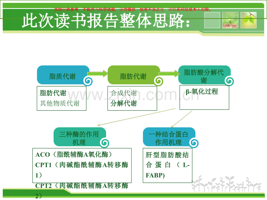 ACO和CPTI和CPTII和LFABP等脂代谢中关键酶的研究进展课件.ppt_第1页