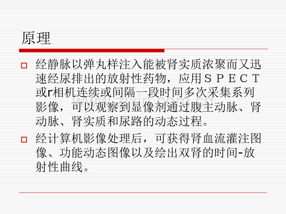 PPT医学课件肾图与肾动态现象讲义.ppt_第2页