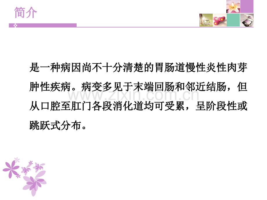 克罗恩病护理常规PPT优质课件.ppt_第2页