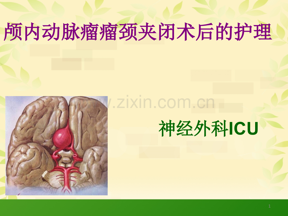 颅内动脉瘤瘤颈夹闭术后的护理.ppt_第1页