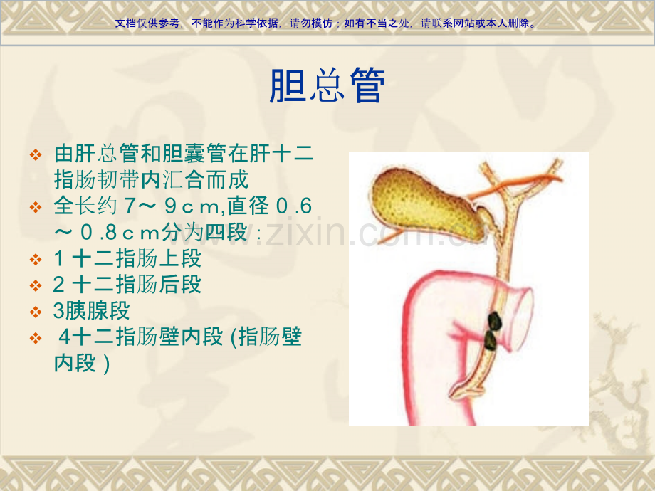 先天性胆总管囊肿解剖和生理课件.ppt_第1页