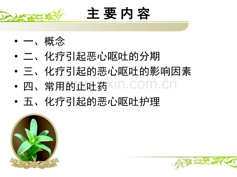 化疗引起的恶心呕吐的医疗护理宣讲PPT优质课件.ppt_第2页