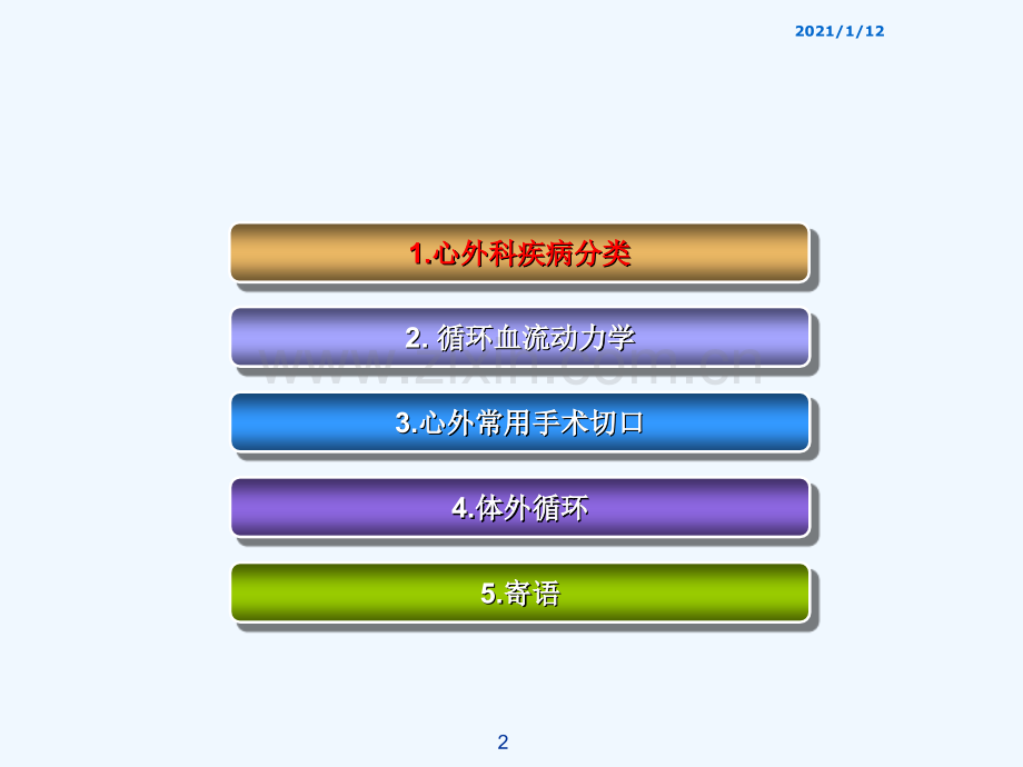 心脏疾病的直视手术治疗.ppt_第2页