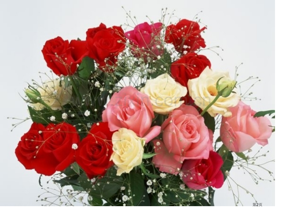 小鹿的玫瑰花省公开课一等奖新名师优质课比赛一等奖课件.pptx_第2页