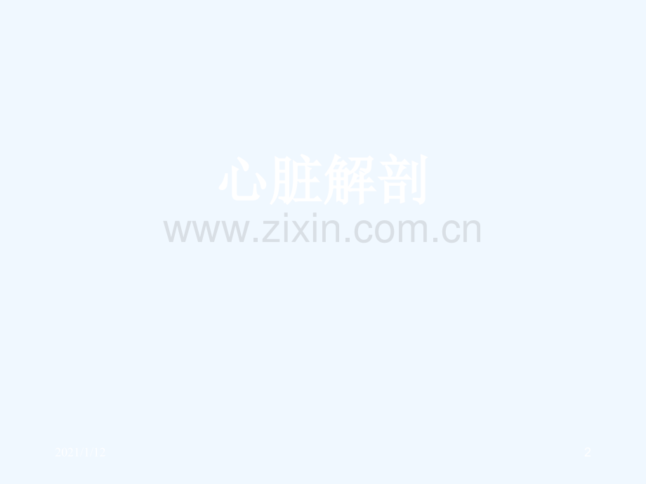 心脏解剖与血流动力学.ppt_第2页