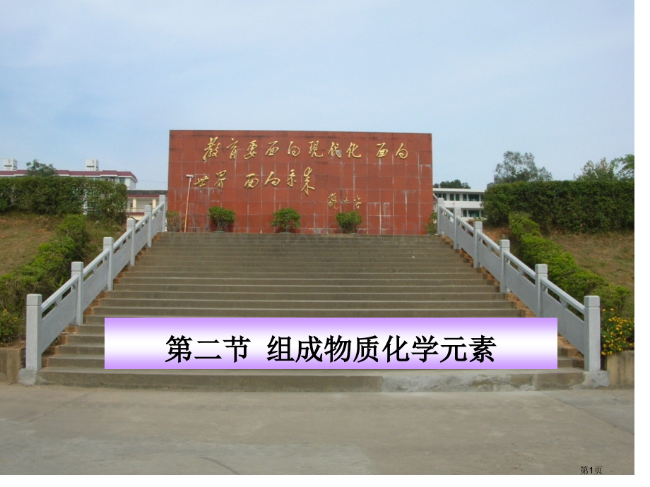 组成物质的化学元素丰富省公共课一等奖全国赛课获奖课件.pptx_第1页