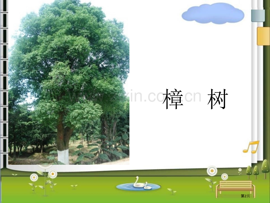 舍不得这棵树课件省公开课一等奖新名师优质课比赛一等奖课件.pptx_第2页